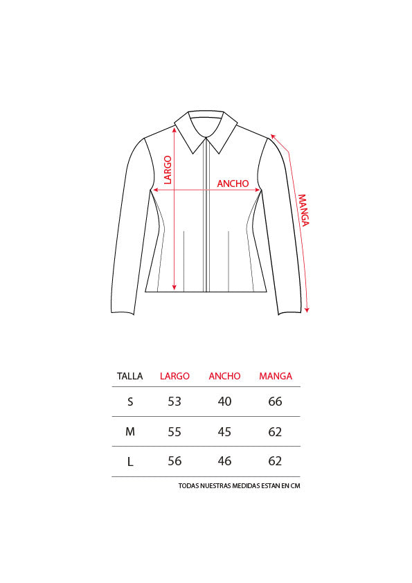 Camisa 01
